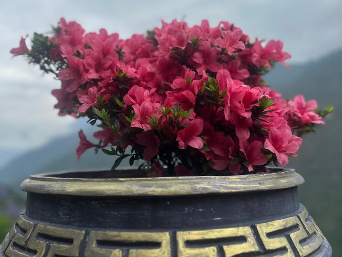 Trans Bhutan Trail hike to Paro gallery 3