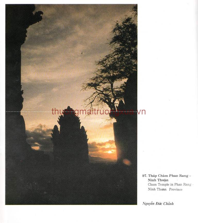 Tập san : Mực tím (số 65 - 1992) - Trang 102