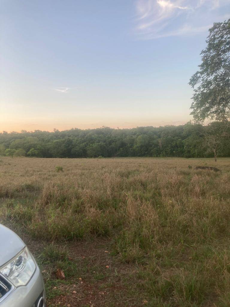 Fazenda em São Miguel do Araguaia - GO 4