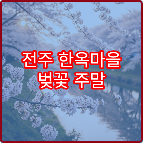 전주 한옥마을 벚꽃 주말 인파 실시간 앱 확인 방법