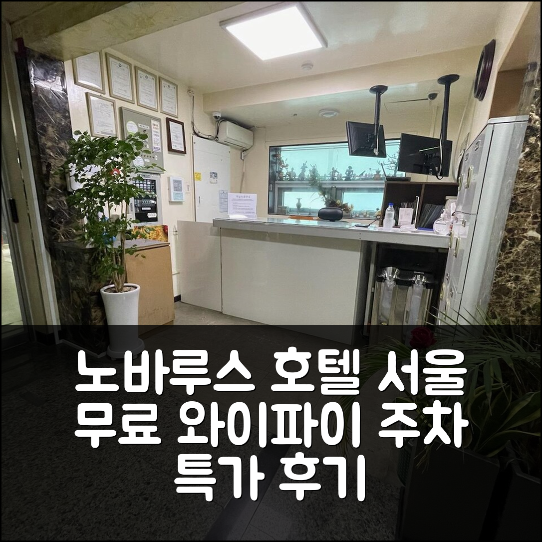 노바루스 관광 호텔 서울: 무료 와이파이&주차 특가 예약 후기! - 아고다 호텔 추천