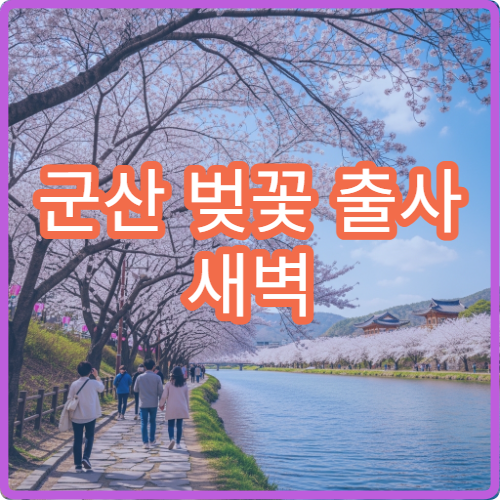 군산 벚꽃 출사 새벽 6시 경암동 폐철로 사진작가 명소 TOP3