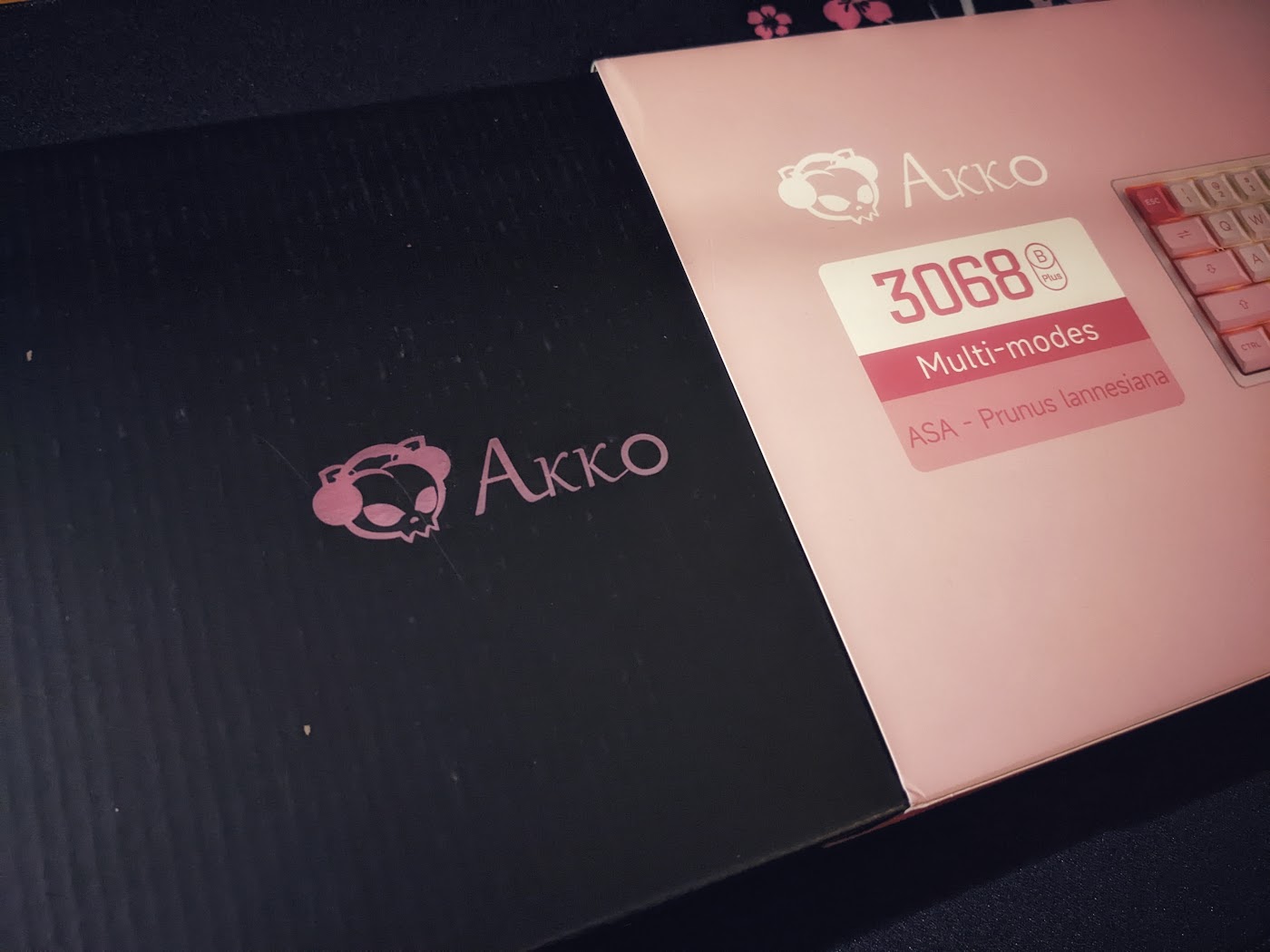 Akko 3068, Akko stock, photo 3