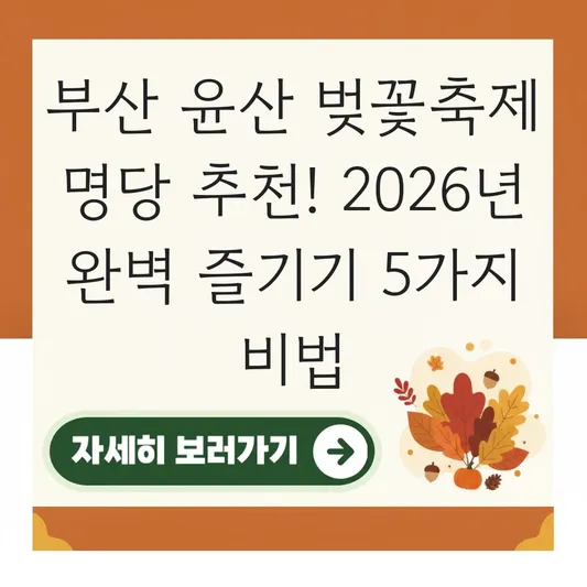 부산 윤산 벚꽃축제 명당 추천