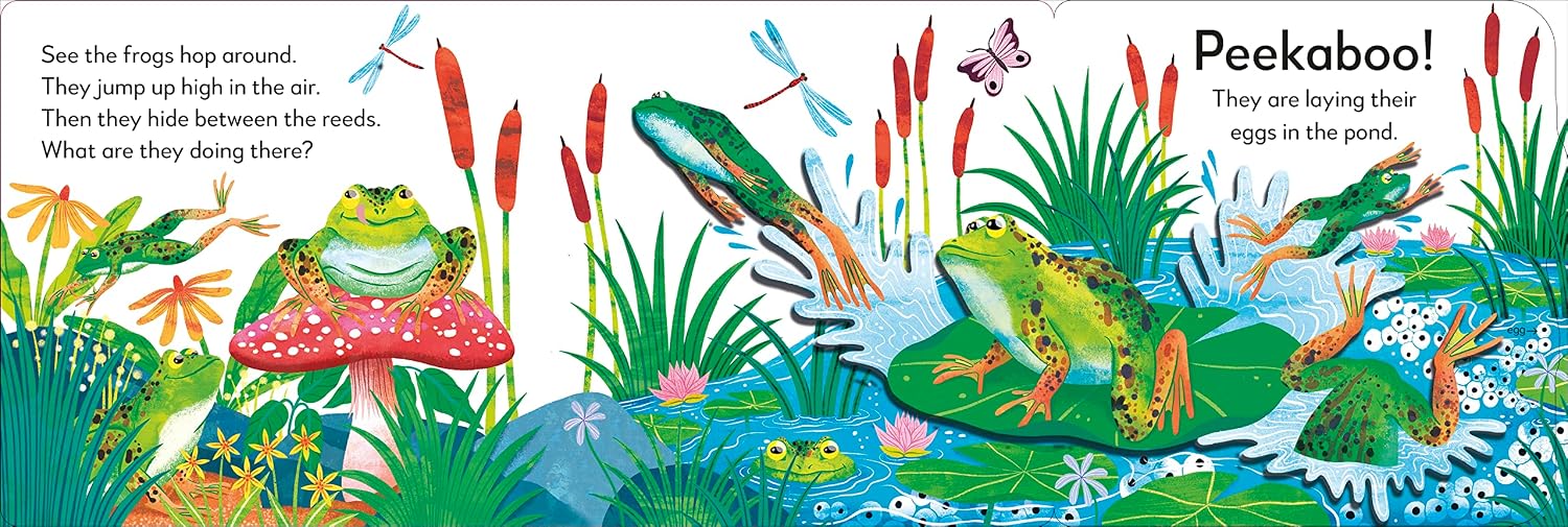 Pop-Up Peekaboo! Frog - thumbnail 3
