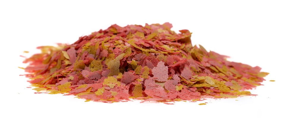 Tetra OVO VIT 20g