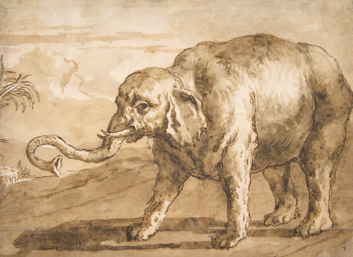 Elephant in a Landscape 17271804
