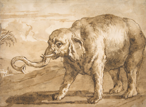 Elephant in a Landscape 17271804