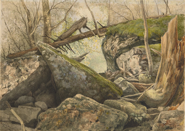 Tanglewood  CatskillMountains 1865 1