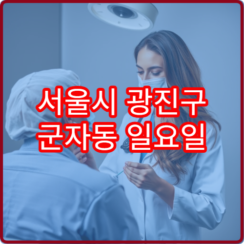 서울시 광진구 군자동 일요일 치과 진료 병원 안내 주말 치과 영업 시간 확인