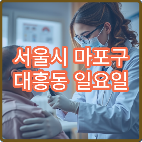 서울시 마포구 대흥동 일요일 내과 발열 몸살 진료