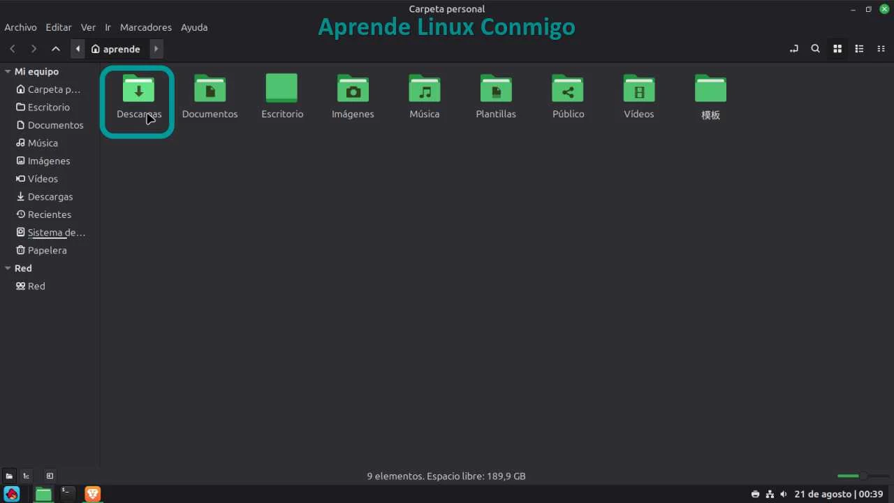 Paso 7