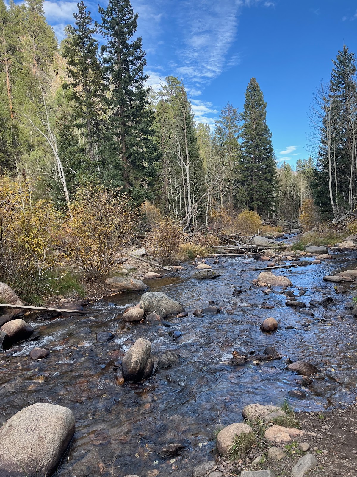 Tessa McGuire in National Parks — Bonaventure strategic partnerships