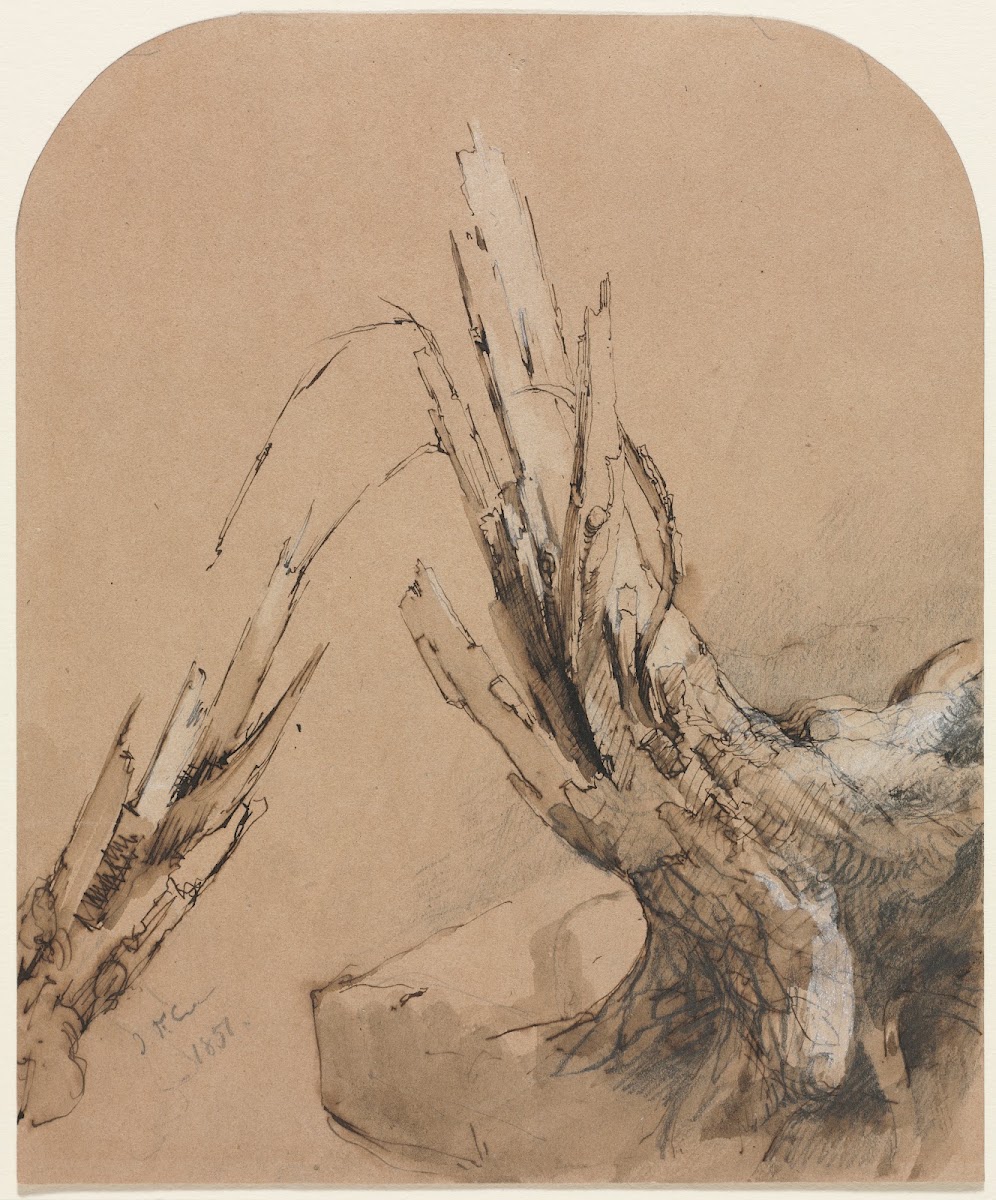 A Blasted Tree 1851