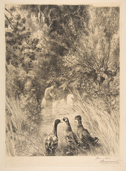 Canards surpris 1882