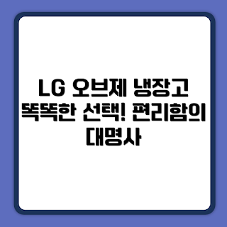 LG전자 오브제 냉장고, 양문형 냉장고, 가정용 냉장고, 주부 추천, 실용적인 전자제품