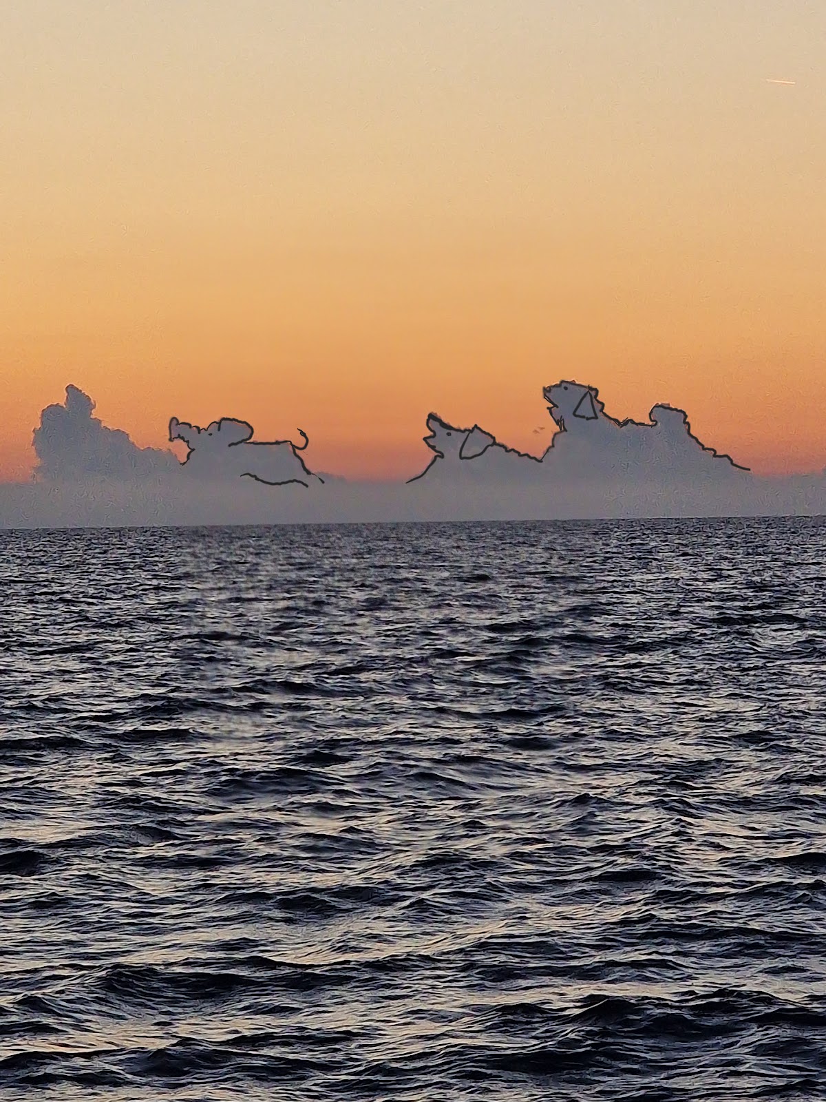 Photo de la navigation NAV-080