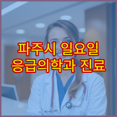 파주시 일요일 응급의학과 진료 병원 응급환자 진료·처치 가능