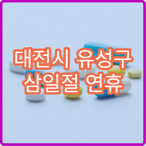 대전시 유성구 삼일절 연휴 진료 병원 운영 현황 공휴일 접수 시간 확인