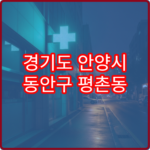 경기도 안양시 동안구 평촌동 일요일 당번·당직 약국 위치 및 상담 가능