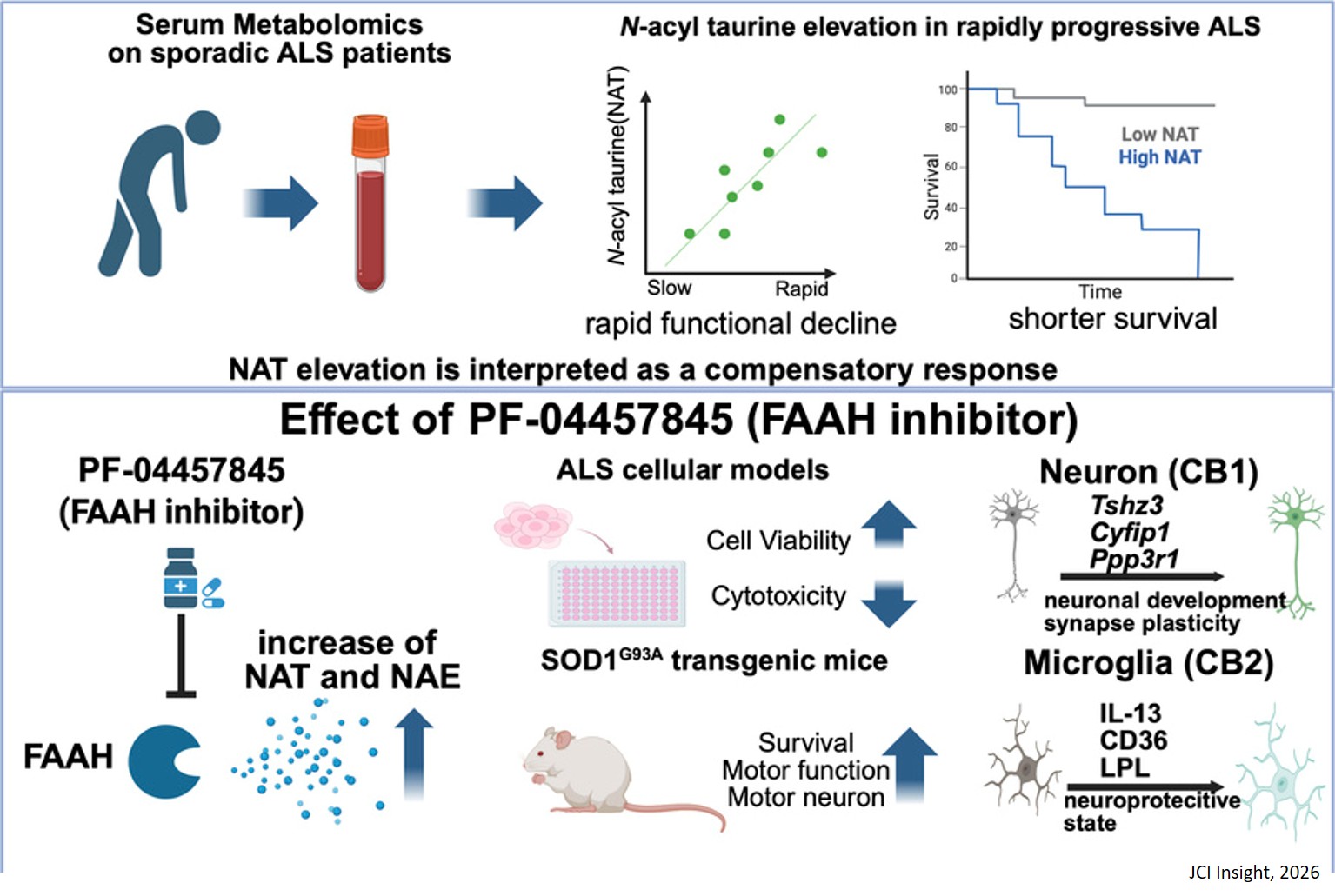 Fatty acid amide hydrolase inhibition for treatment of amyotrophic lateral sclerosis