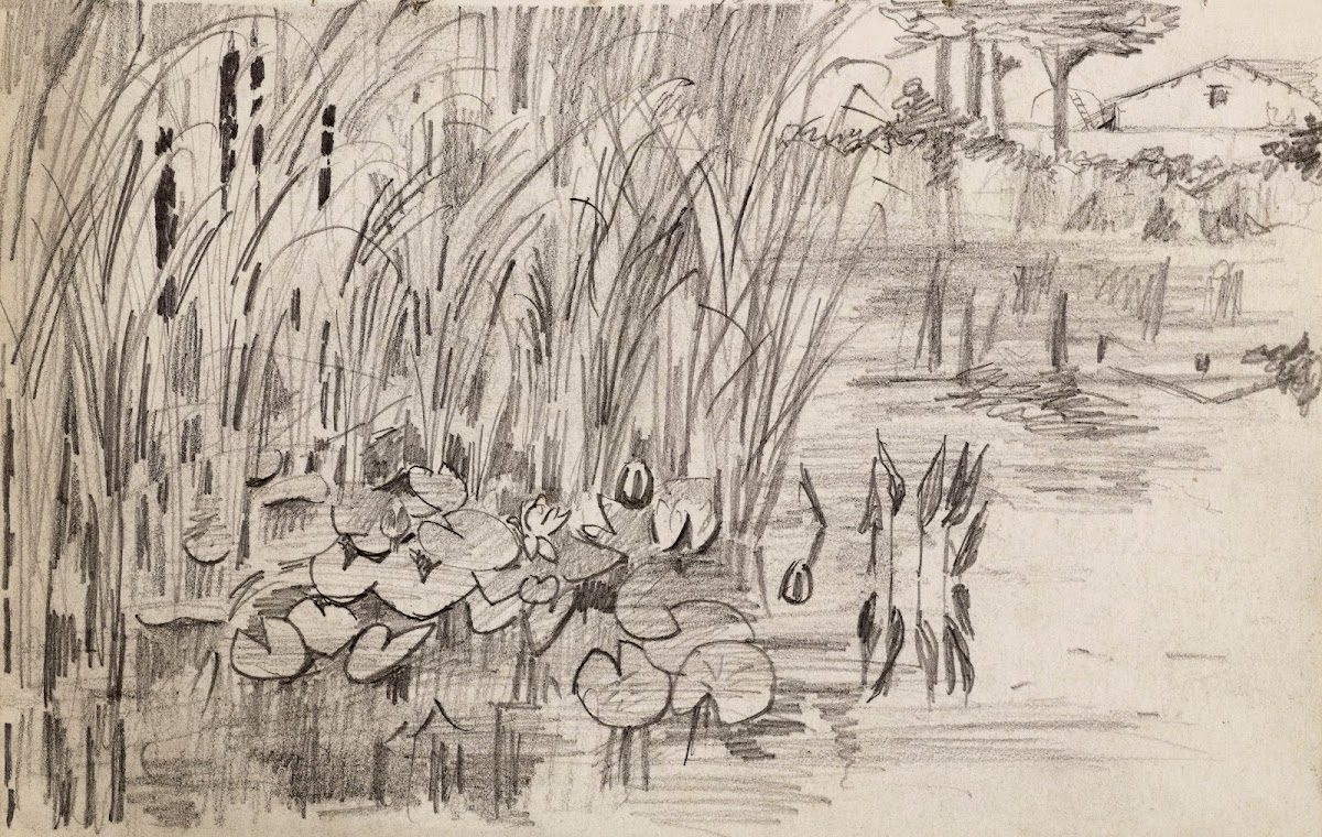 Etang avec des nénuphars et des roseaux