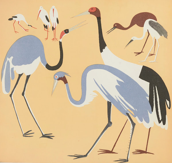 Nouvelles images à colorier Des Oiseaux Pl13 1935