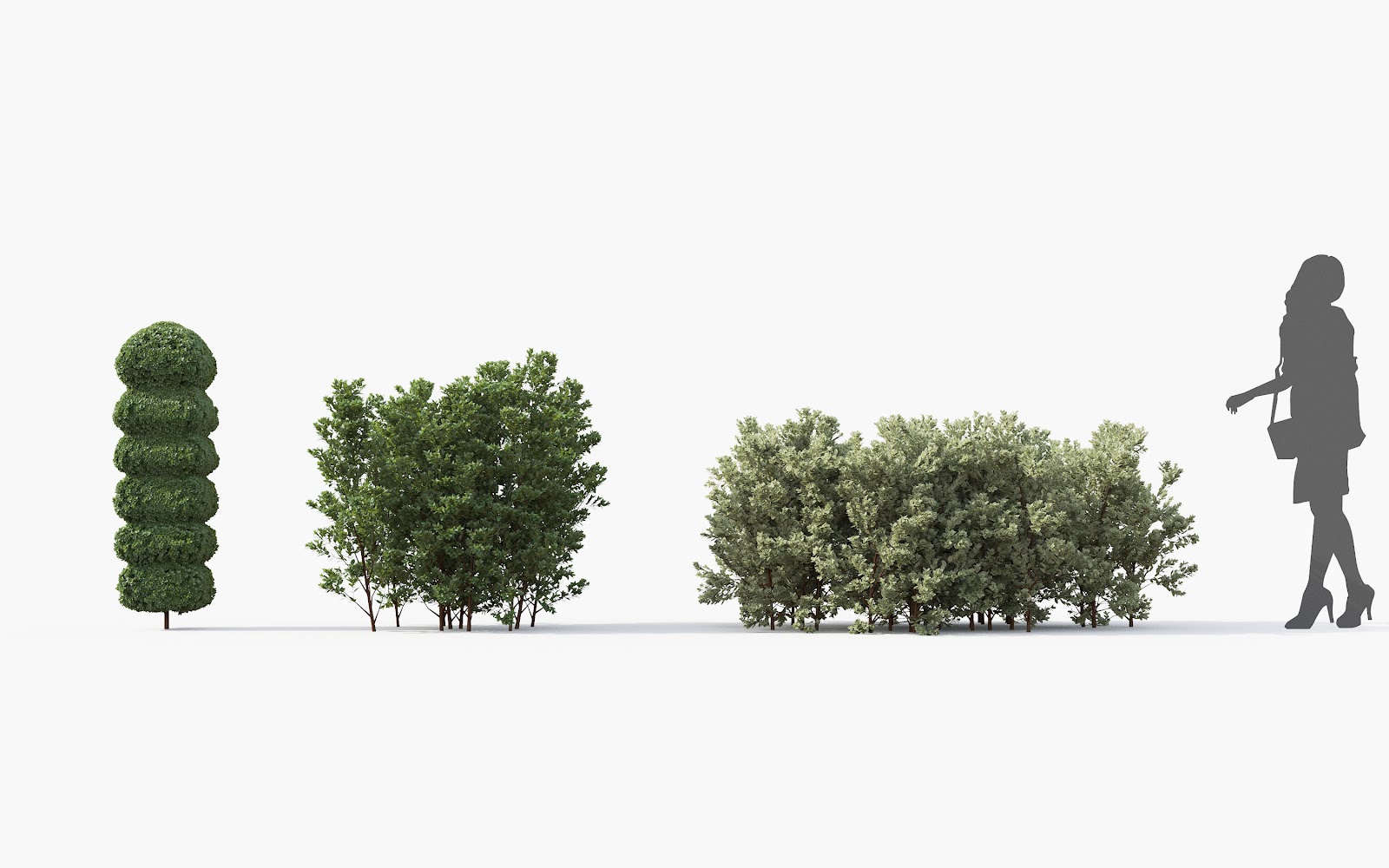Maxtree - Plant Models Vol.28