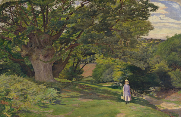 Hayes Common