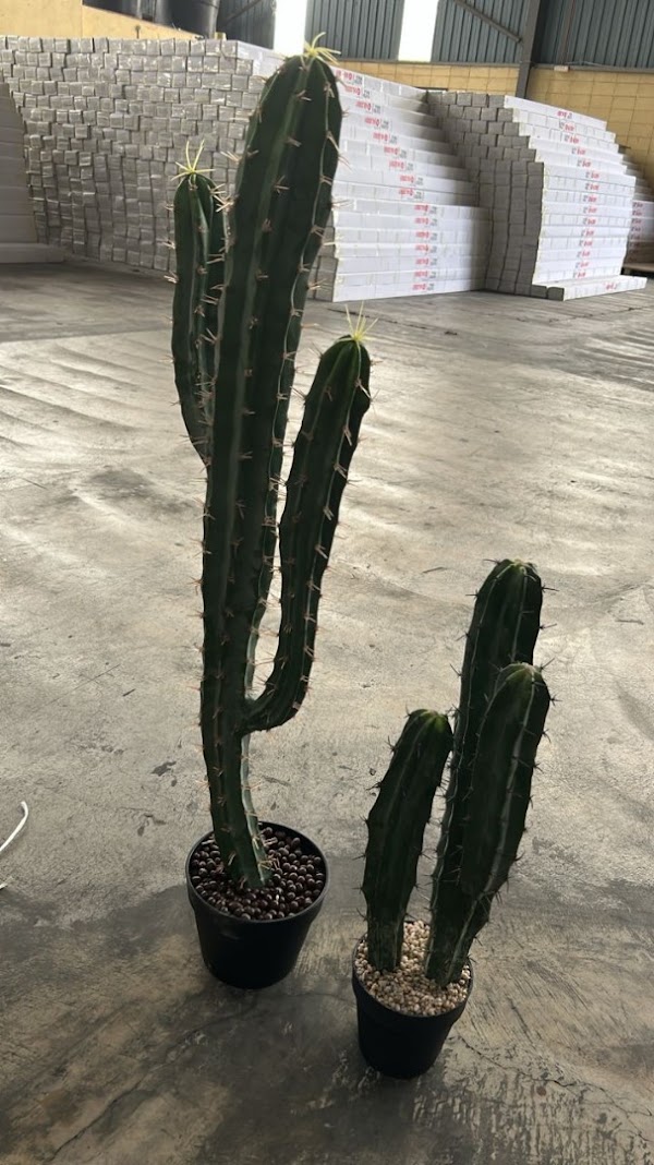 Artificial Cactus Pokok Kaktus Tiruan