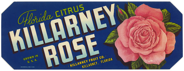 Killarney Rose Florida Citrus Label 1930 1950