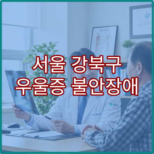서울 강북구 우울증 불안장애 정신건강의학과 약물심리치료 병원