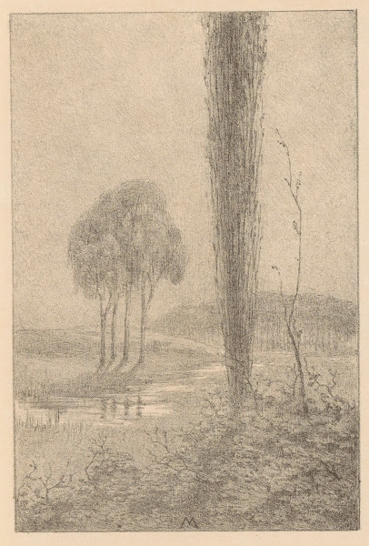 Landschap met bomen en beek 1901