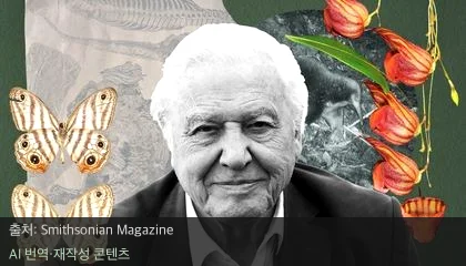 데이비드 애트런버러 - 데이비드 애트런버러의 100세, 과학자들이 바친 생물 이름들