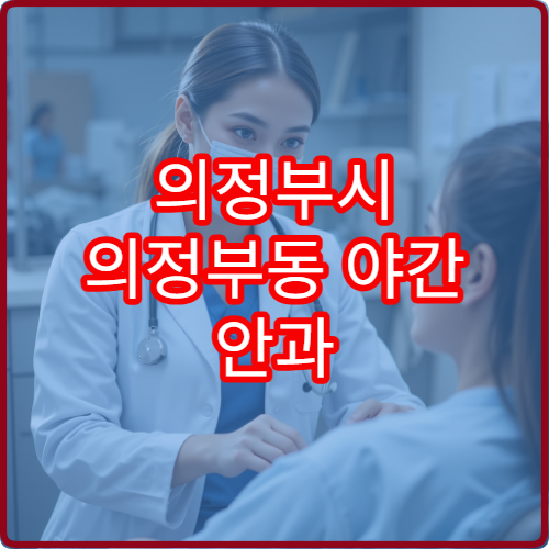 의정부시 의정부동 야간 안과 결막염 눈충혈 진료 병원 안내