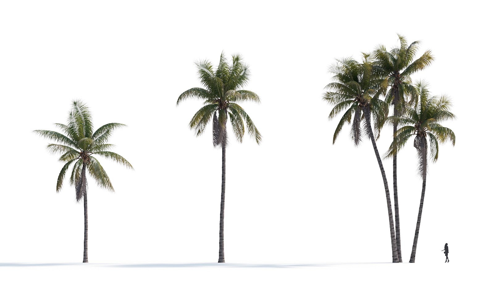 Maxtree - Plant Models Vol.7