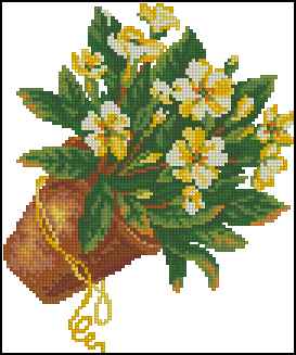 CMP 171109 Primrose
