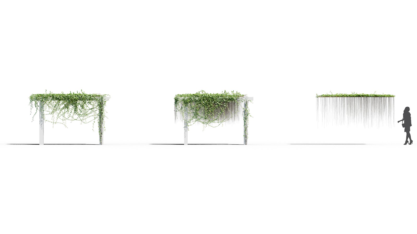 Maxtree - Plant Models Vol.37