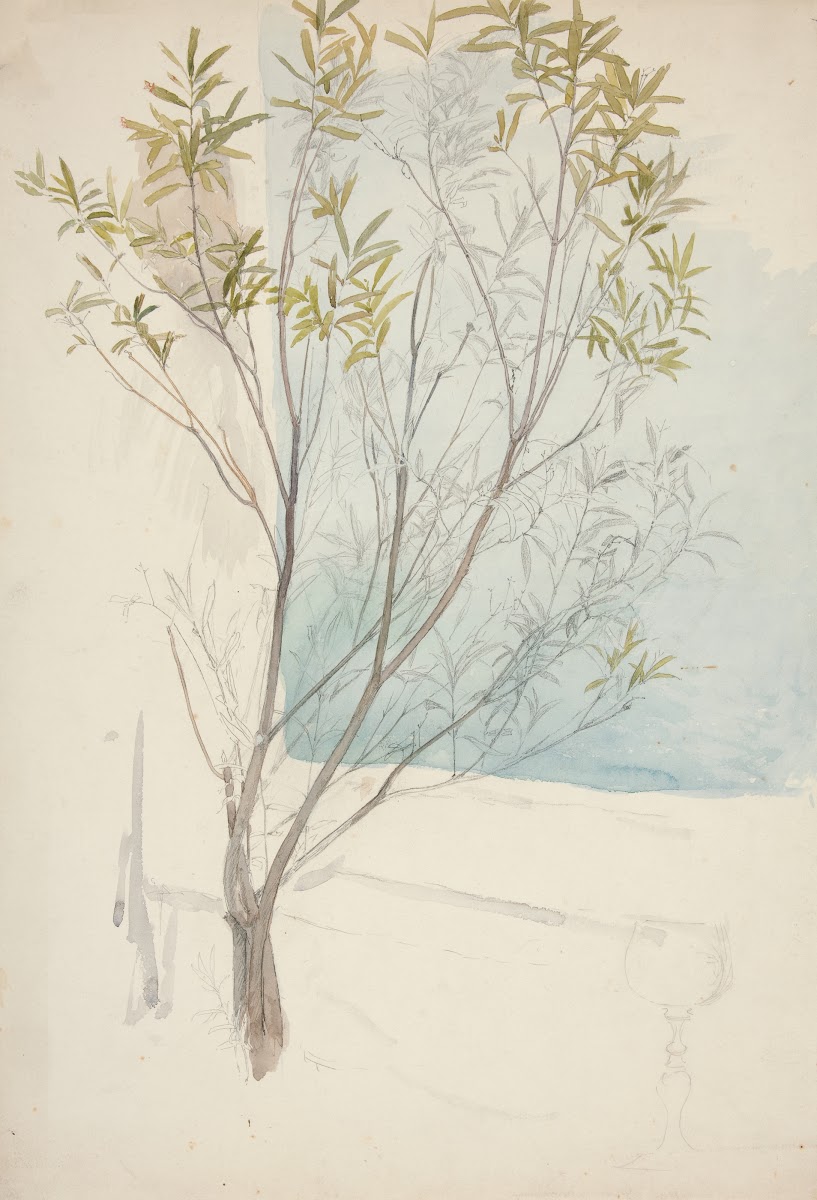 Study of atree 1988