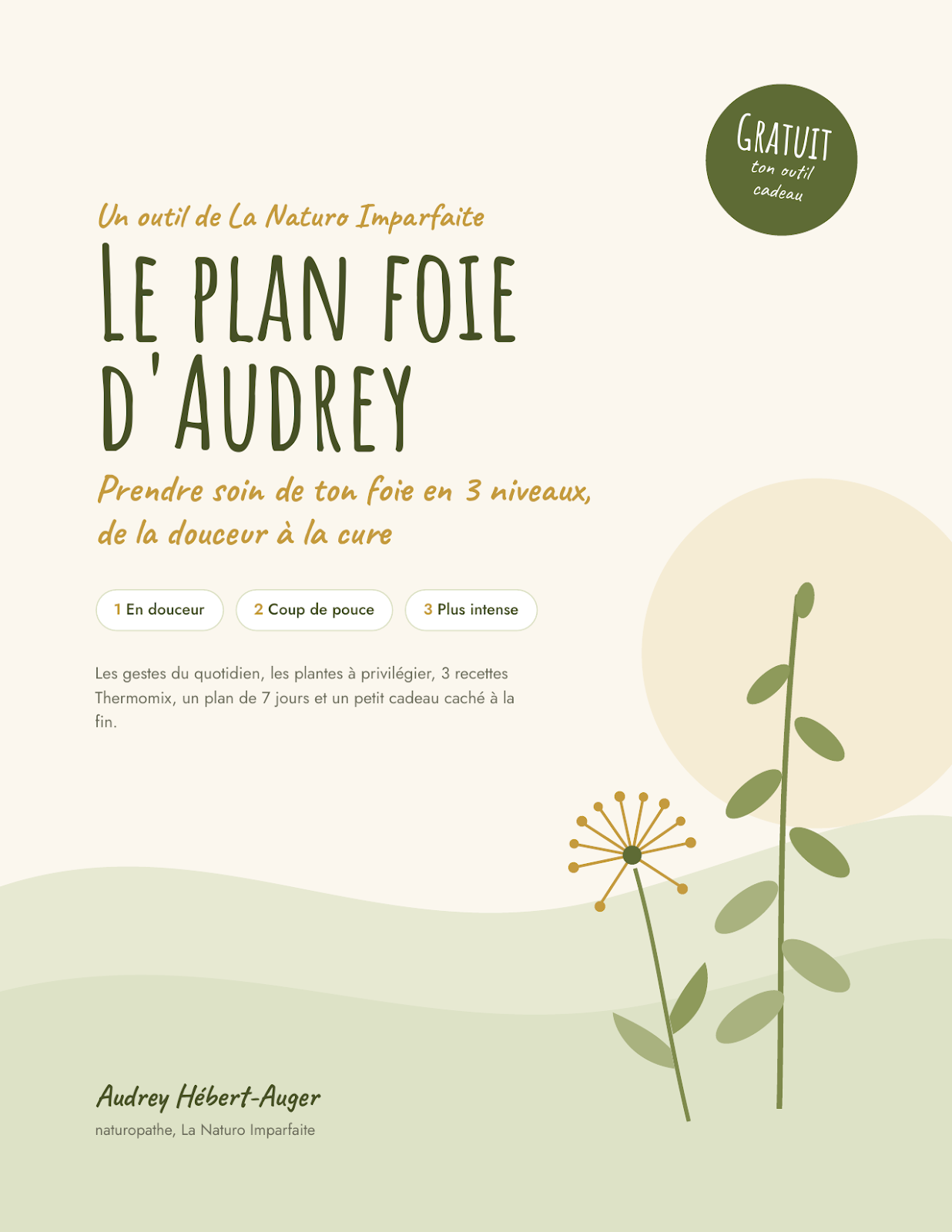 Couverture du guide gratuit Le plan foie d'Audrey