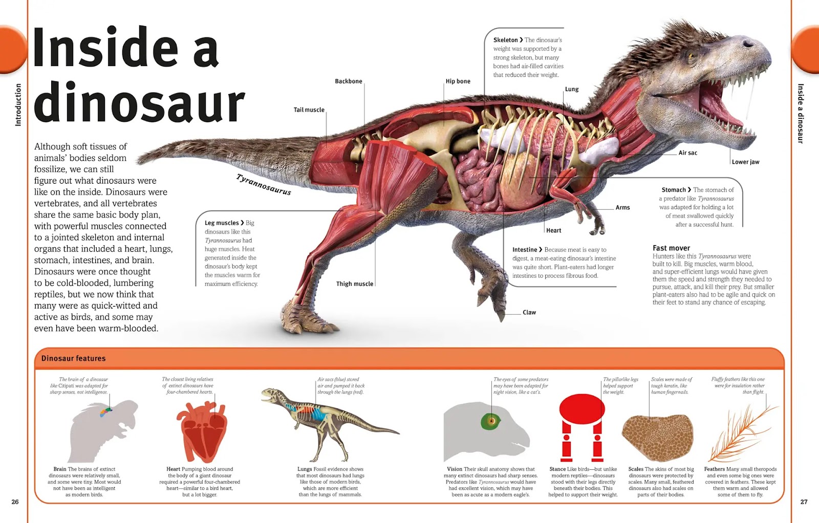 Our World in Pictures: The Dinosaur Book — gambar 2