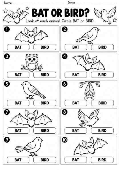 Bat or Bird Comparison Worksheet