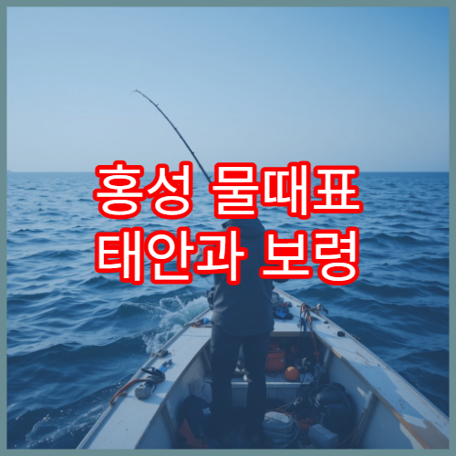 홍성 물때표 태안과 보령 인근 해역의 오늘 바다타임 정보