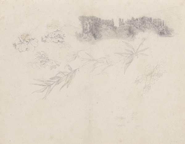 Der Schlosspark von Kleinheubach und Blattstudien 1867