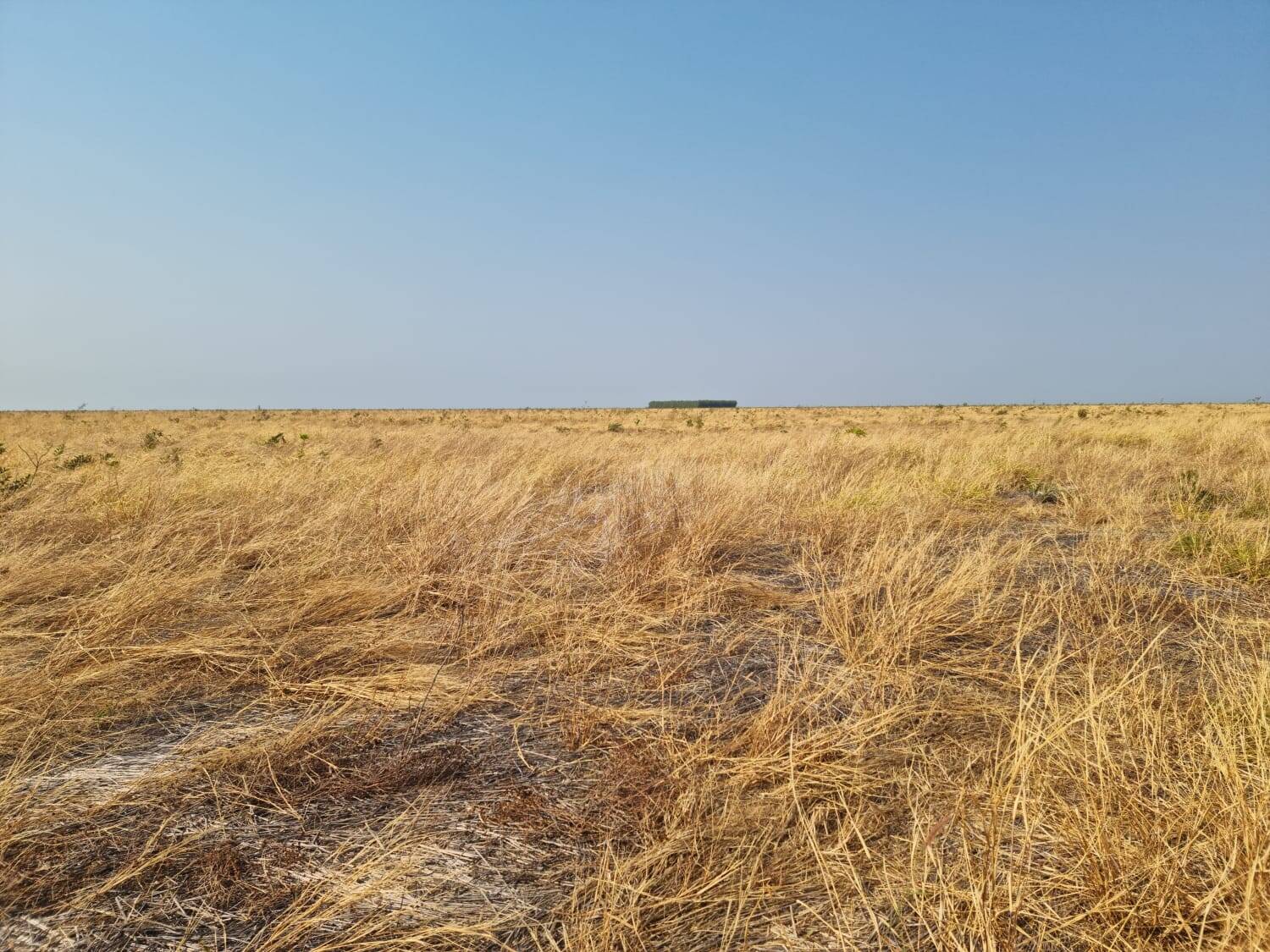 Fazenda em Palmeira do Piauí-PI 3
