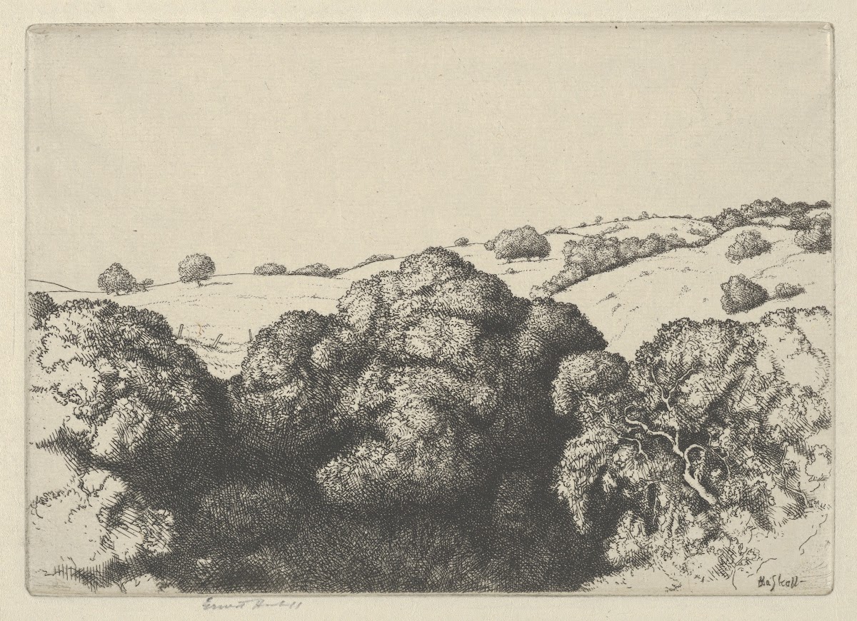 Live Oak Shadows 1900 1925