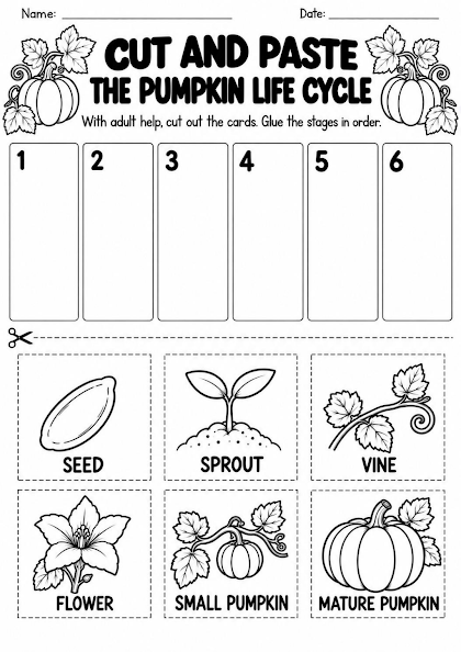 Pumpkin Life Cycle Cut and Paste Sequence Worksheet