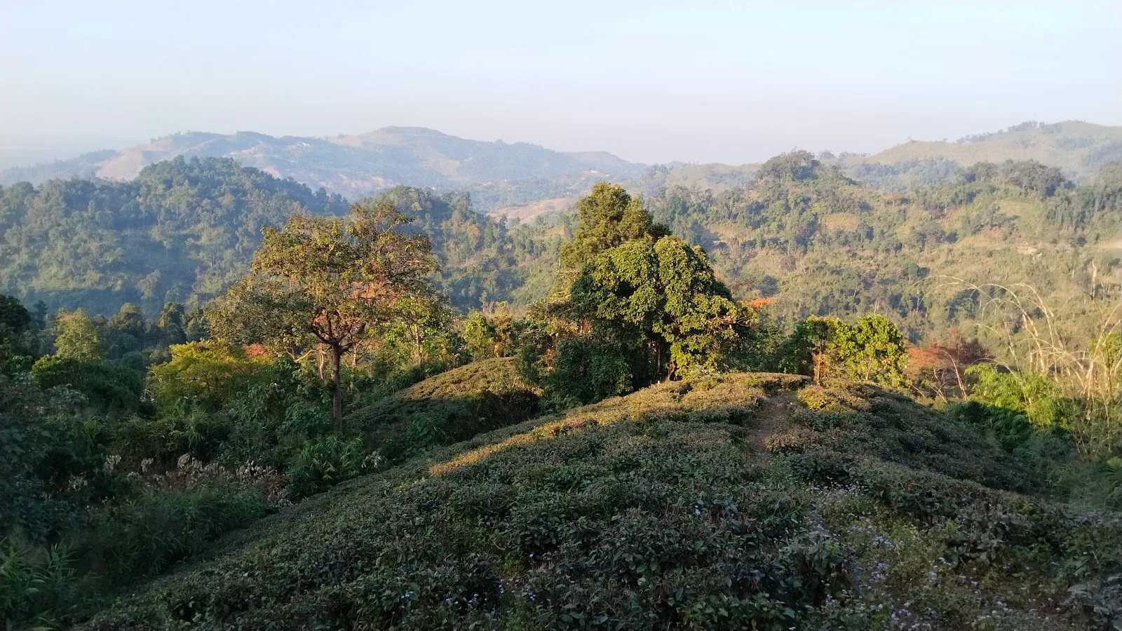 Changlang Town