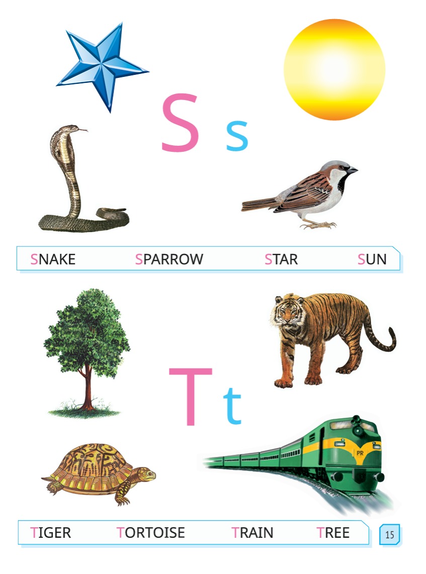 English Kids Class B