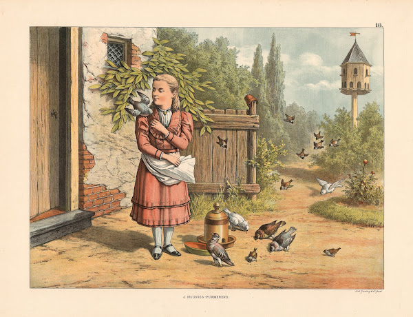Bird feeding 1910
